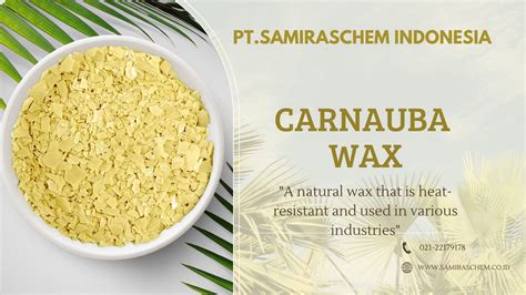 Sifat Fisika Carnauba Wax - Sifat Fisika Carnauba Wax