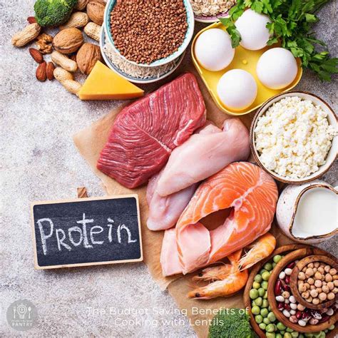 Cheap Protein Sources That Taste Great - Dizzy Busy and Hungry!