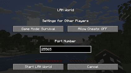 Image result for How to Play Minecraft Java without Server or Lan