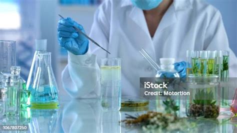 Image result for Final Year Project Computer Science