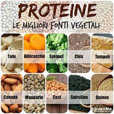 proteine vegetali alimenti the world s catalog of ideas proteine vegetali alimenti the world s catalog of ideas