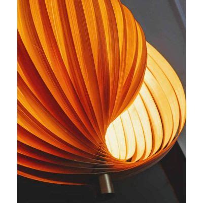 Sea shell lamp | Buy bamboo ceiling light online | Kalpané