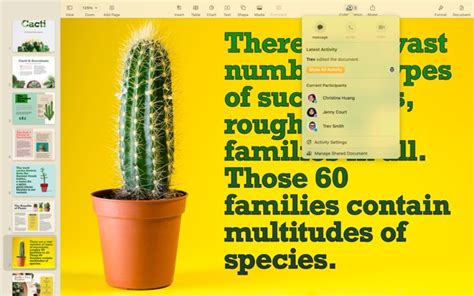 Pages iOS Download 的图像结果
