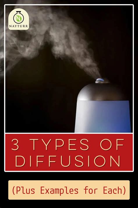 Types of Diffusion 的图像结果