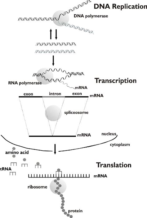 Genome Biology 的图像结果