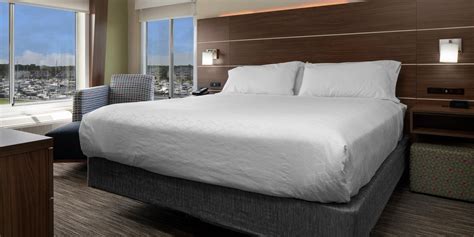 Holiday Inn Pet Policy: Everything You Need to Know Before Staying ...