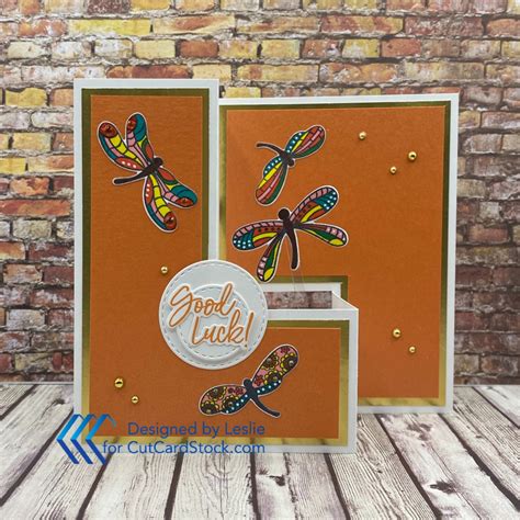 Are Dragonflies Good Luck