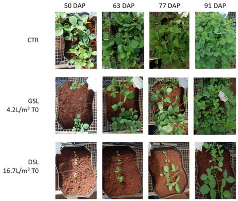 Leaf Spectra Changes of Plants Grown in Soils Pre- and Post ...
