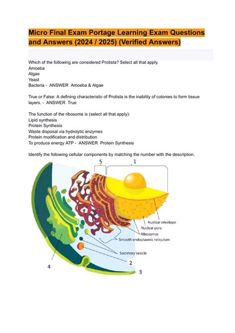Micro Final Exam Portage Learning Exam Questions and Answers (2024 / ...