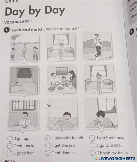 Routine Live Streaming 的图像结果