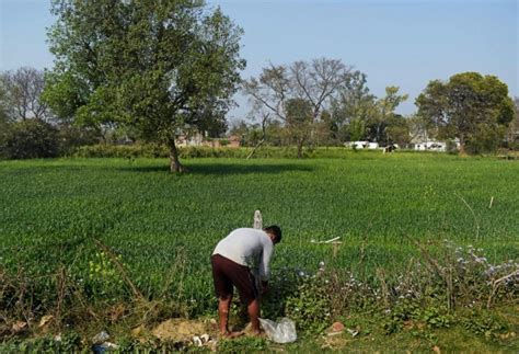 Stray Cattle, Poor Prices and the Many Issues on the Minds of Farmers ...
