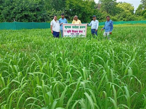Krishi Vigyan Kendra, Amethi