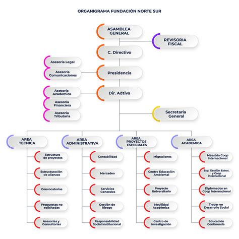 Estructura Organizacional - Fundacion Norte Sur