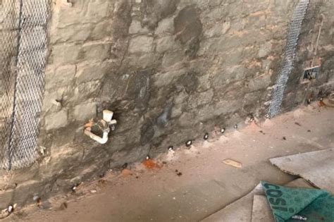 Image result for How to Apply Damp Proof Course