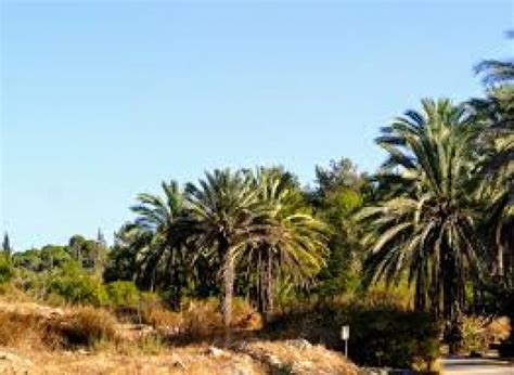 Neot Kedumim, modiin, Israel - Top Attractions, Things to Do ...