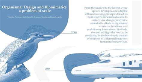 The Future of Biomimicry in Web Design: Drawing Inspiration from Nature