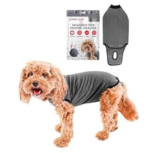 Belly Guard - Dog Recovery Onesie - Cone Alternative - After Surgery ...