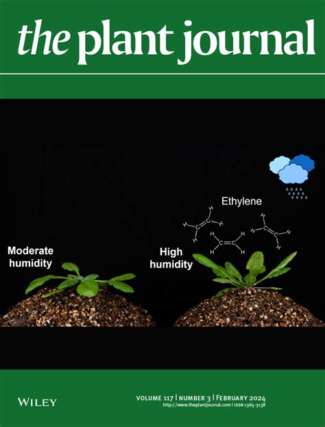 Plant Biotechnology Journal 的图像结果