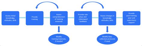 Training Process 的图像结果