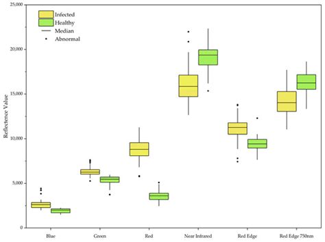 Deep Learning-Based Pine Nematode Trees’ Identification Using ...