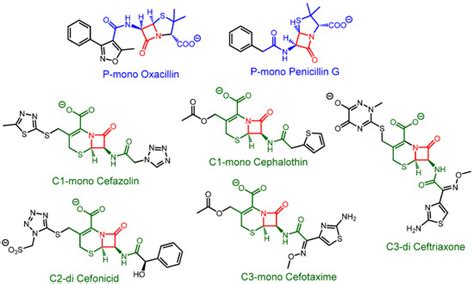 Beta-Lactam Antibiotic Discrimination Using a Macromolecular Sensor in ...