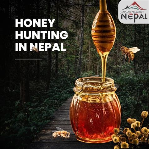 Effects Of Wild Honey
