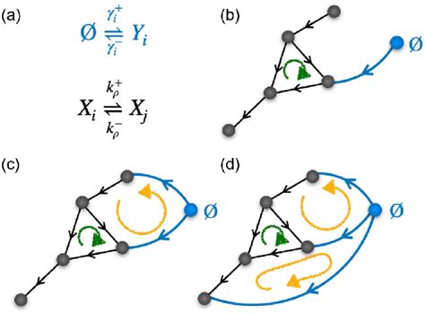 Image result for Chemonasty Example