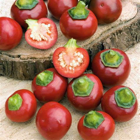 Sweet Pepper Seeds - Red Cherry Sweet - Aasgardens