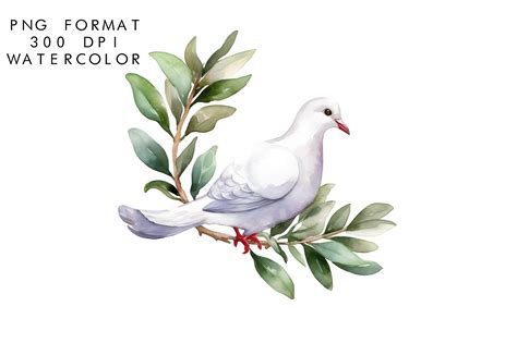 Watercolor Dove Clipart Graphic by WatercolorByKr · Creative Fabrica
