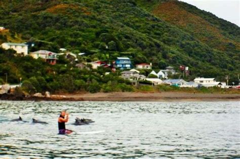10 Most Beautiful Beaches Near Wellington With Pictures