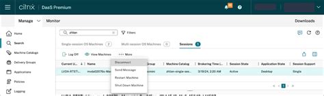 Citrix VDA Monitor Display Multiple 的图像结果