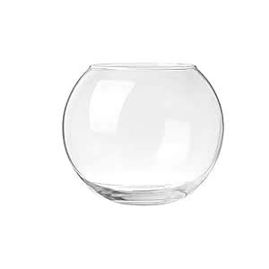 Buy Terarium Small Glass Bubble Bowl, Small Bowl - Glass Round Vase for ...