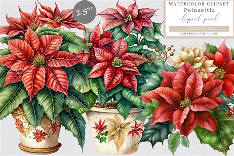 Christmas Poinsettias Clip Art