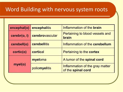 nervous system terminology .pdf