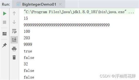Bigint Java 的图像结果
