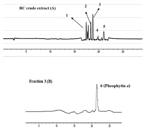 Identification of Pheophytin a and Hydroxy Pheophytin a from Rang Chuet ...