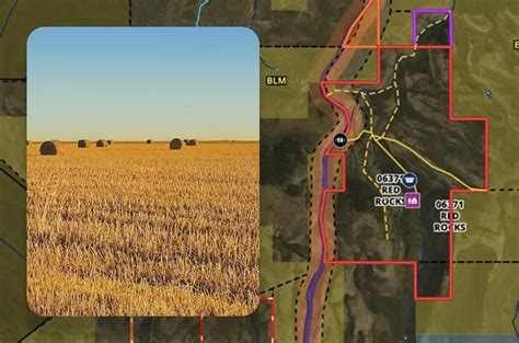 Create Property Map 的图像结果