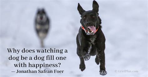 Wattengel Funeral Home | North Tonawanda NY