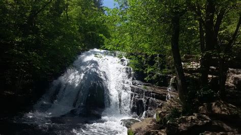 SO FUN!!! - Reviews, Photos - Roaring Run Falls - Tripadvisor