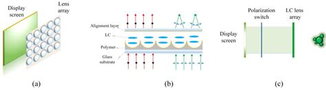 Recent Progress in True 3D Display Technologies Based on Liquid Crystal Devices