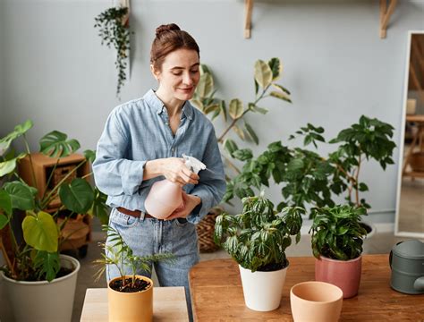 New Houseplant Essentials: A Comprehensive Care Checklist