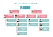 Software Company Org Chart | Free Software Company Org Chart Templates