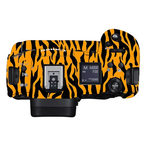 Savanna Tiger Stripes Canon EOS R3 Camera Skins