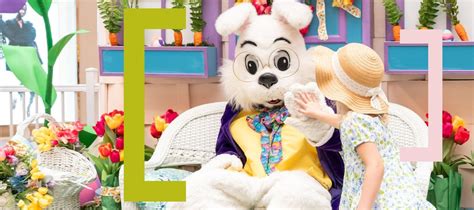 Bunny Photos, 21100 Dulles Town Cir,, Sterling, VA, United States ...