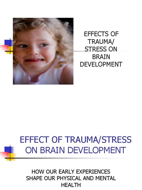 Image result for Trauma Brain Development