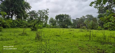 Agricultural/Farm Land for Sale in Sudhagad, Raigad - by AAKAR PROPERTIES