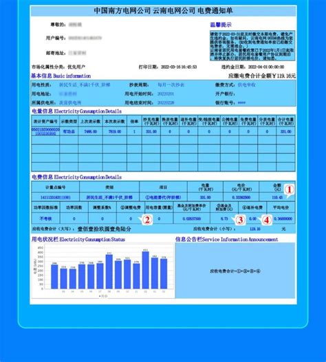 中国南方电网95598电费账单打印 - 源代码