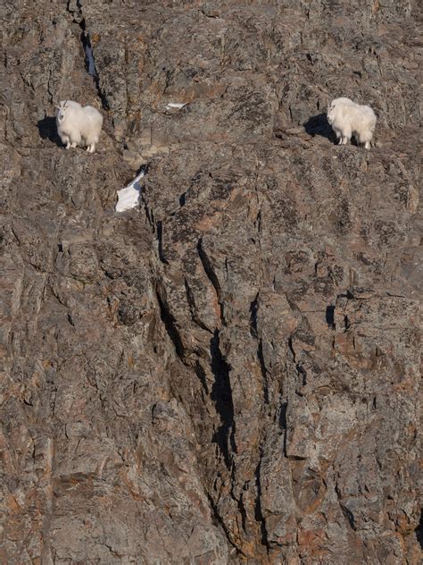 Environment Photography Examples 的图像结果