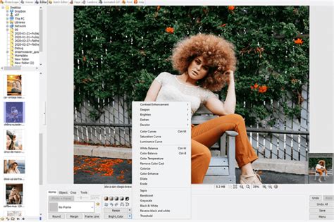 Image result for Color Correction Software