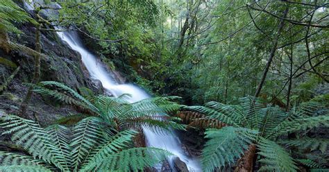 Environmental Quality 的图像结果
